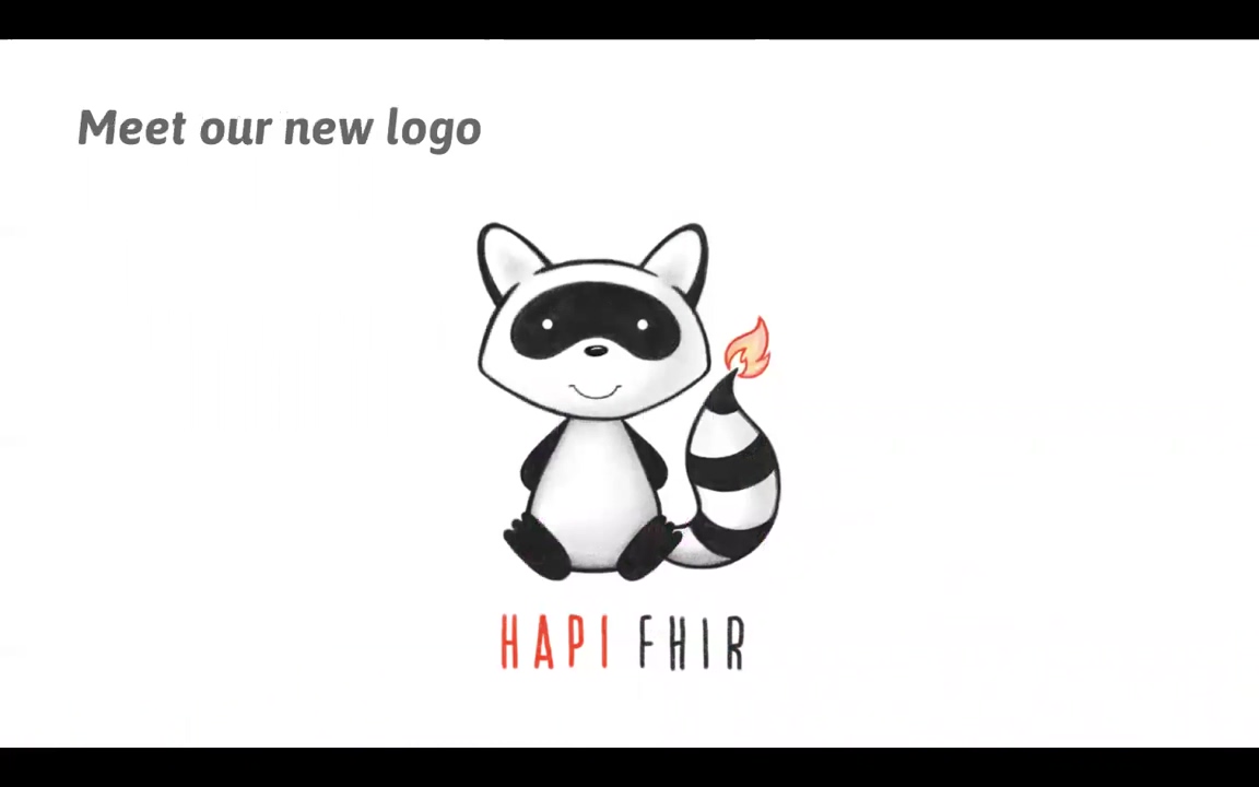 hapi_fhir_logo_new.jpeg