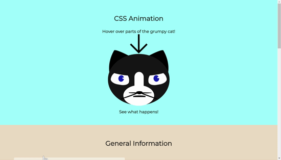 CSS Showcase2.gif